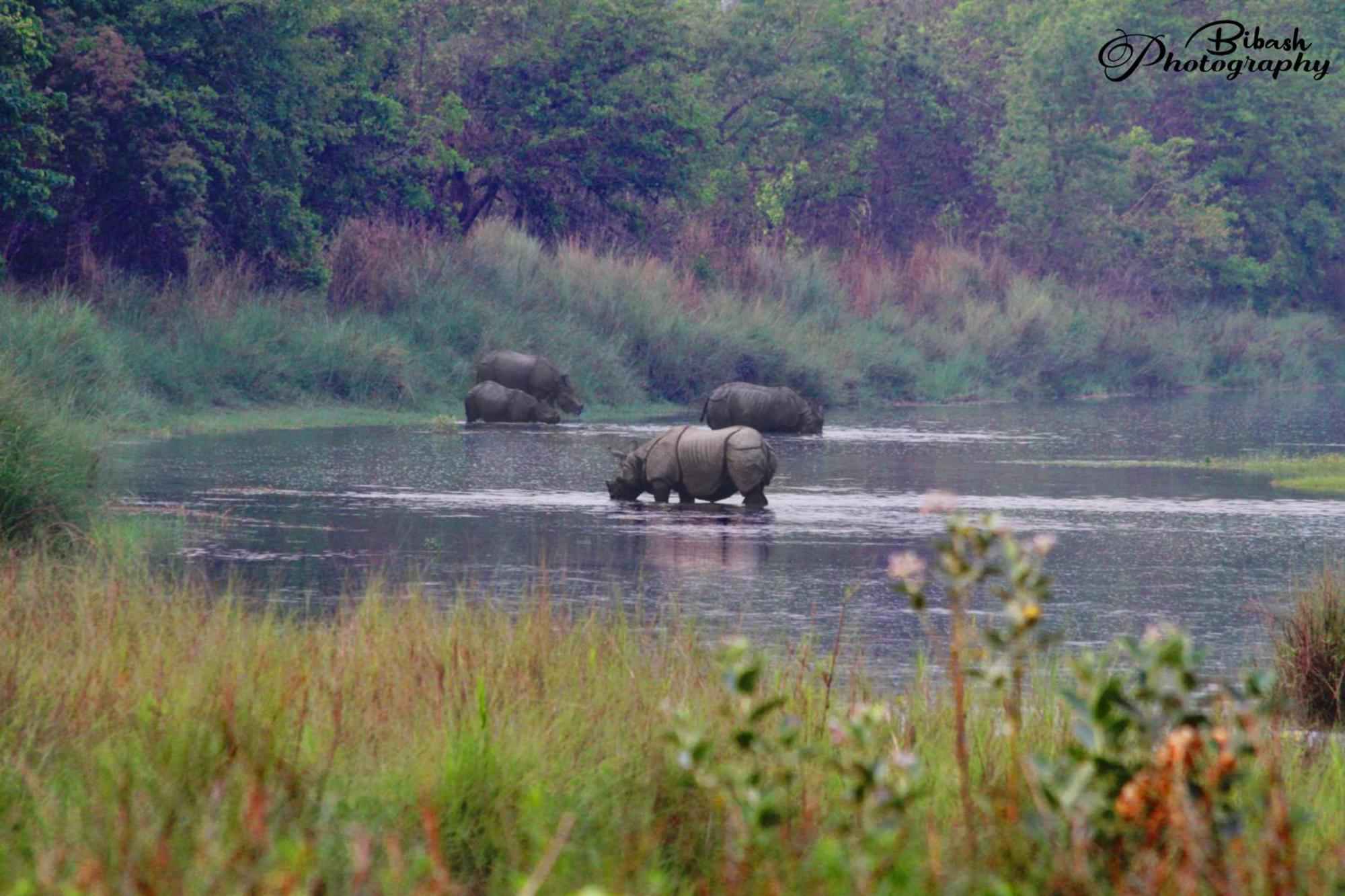 Mr. B'S Place Bardiya Exteriér fotografie